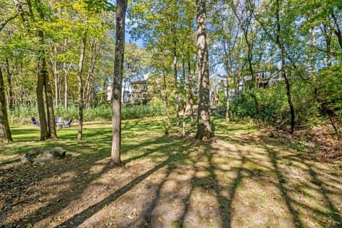 Serene green space with outdoor chairs surrounded by tall trees and houses in the background.