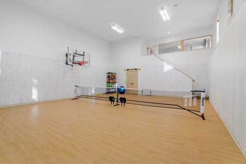 Indoor sports area with a basketball hoop and exercise equipment mounted on the wall.