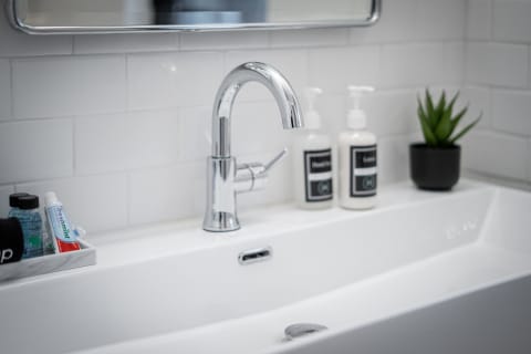 A chrome faucet over a white sink with two bottles of lotion and a small plant.