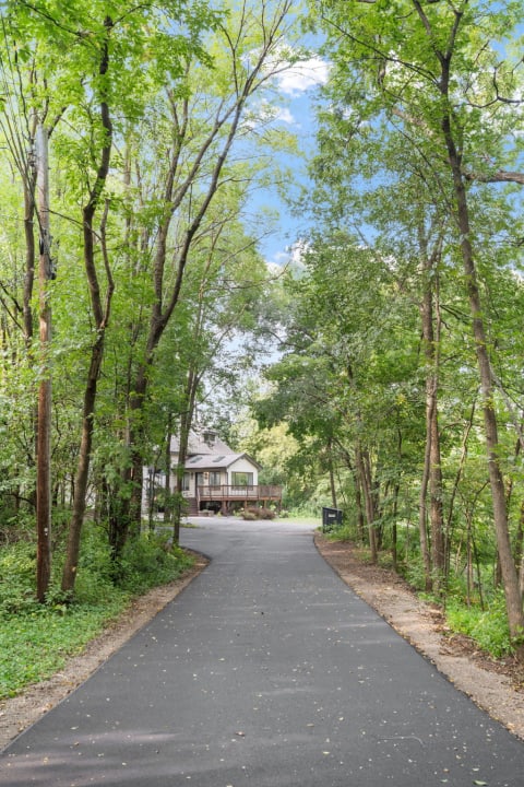 A driveway flanked by trees leading to a house in a natural setting.