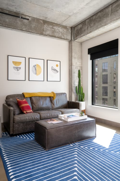 A cozy modern living room featuring a leather sofa, abstract art, and a cactus.