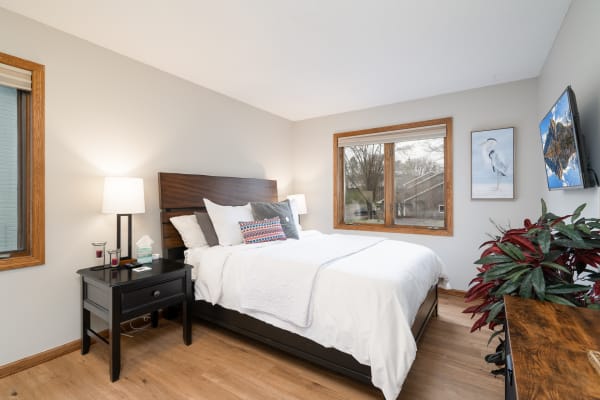 A modern bedroom featuring a queen bed, decorative pillow, nightstand with lamp, window, artwork, television, and a plant.