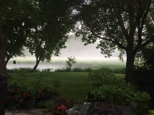 Misty view of a lake surrounded by trees and plants, creating a serene atmosphere.