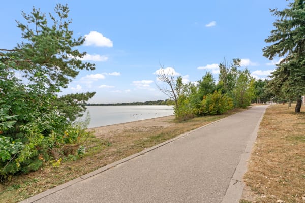 Lakeside walkway with bushes and trees lining the shore.
