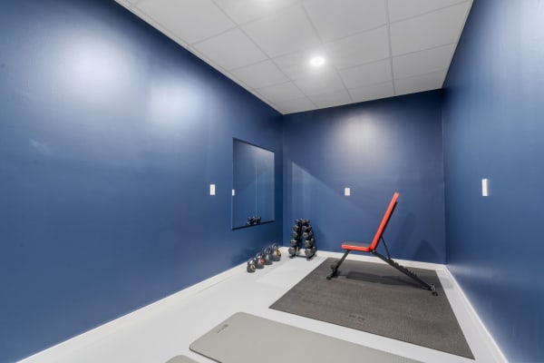 Compact home gym with blue walls, weights, and a workout bench.