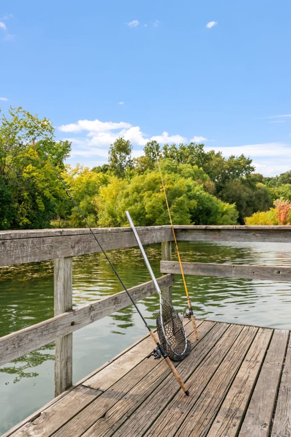 Fishing rods and a net on a wooden dock over calm water surrounded by greenery.