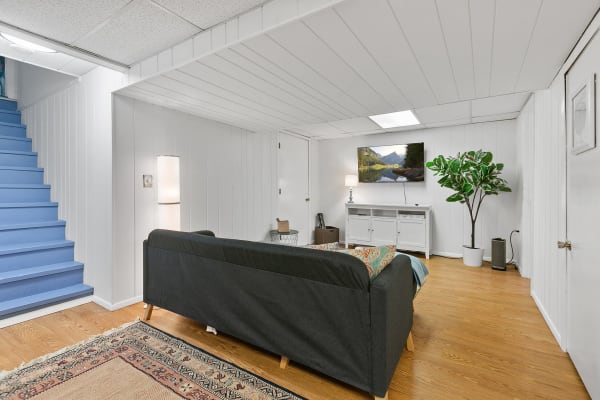Cozy basement living room featuring a dark gray couch, a flat-screen TV, and a potted plant.