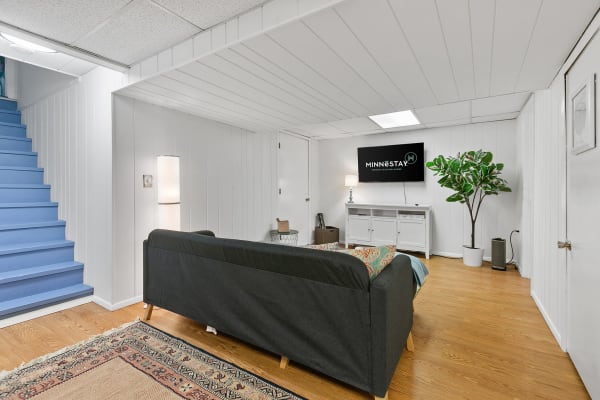 Cozy basement living space featuring a gray sofa, a TV, and indoor plants.