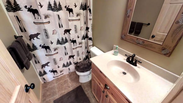 A bathroom featuring a nature-themed shower curtain, a wooden vanity, and traditional fixtures.