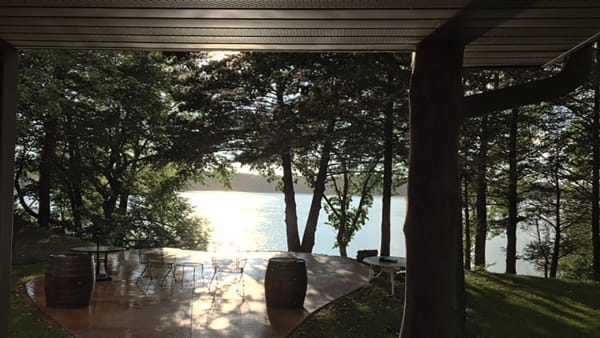 Lakeside view featuring a covered patio with a table and chairs, surrounded by trees and a shimmering lake.