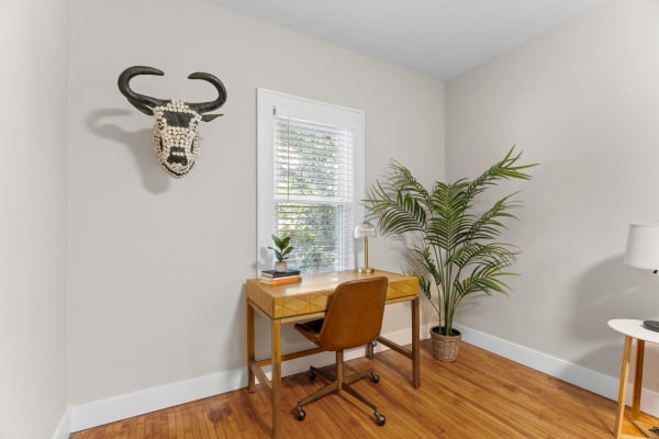 Home office corner with a decorative skull, wooden desk, and potted plants.