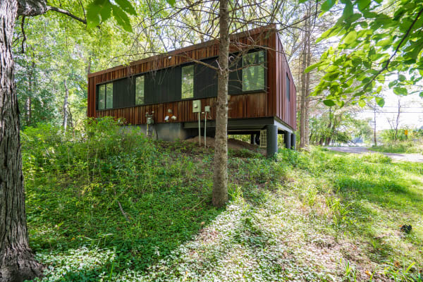 A contemporary house elevated on pillars surrounded by greenery and trees.