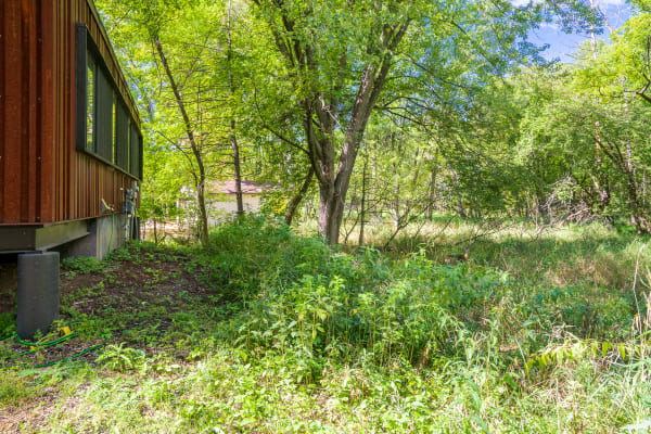 A side view of a wooden building with overgrown foliage and trees.