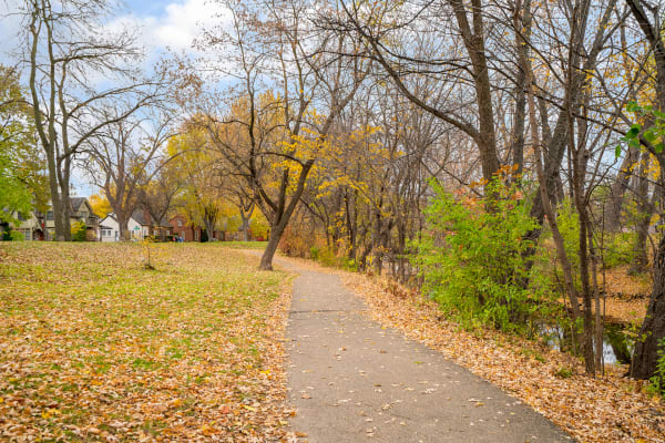 A peaceful walkway during autumn lined with fallen leaves and trees, leading to homes in the background.