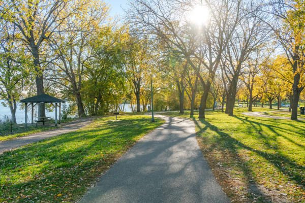 A winding path through an autumn park with trees and a gazebo.