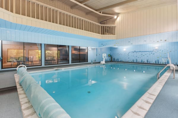 Indoor swimming pool with blue walls and mural of fish, featuring a pool ladder and natural light from large windows.