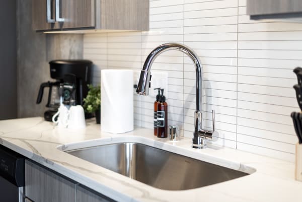 A contemporary kitchen sink area featuring a chrome faucet, coffee maker, and paper towels.