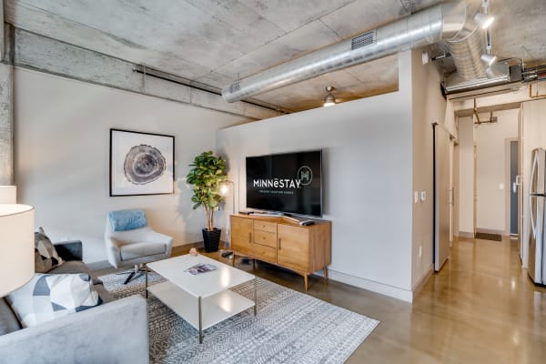A modern living room featuring a gray couch, coffee table, plant, and TV.
