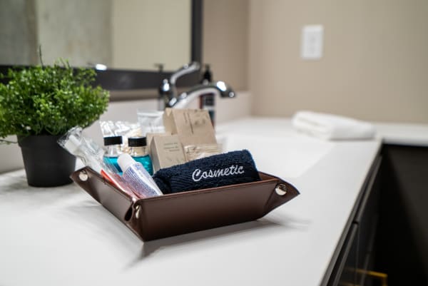 Bathroom counter featuring a leather tray filled with toiletries and a potted plant.