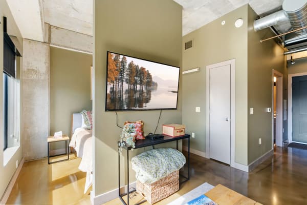 Interior of a modern apartment with a bed, TV, and decorative elements.