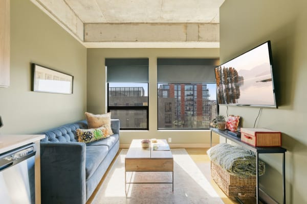 A modern living room featuring a blue velvet sofa, a coffee table, and a flat-screen TV.