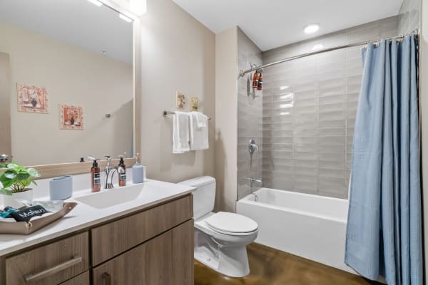 Modern bathroom with a bathtub, shower, and stylish vanity.