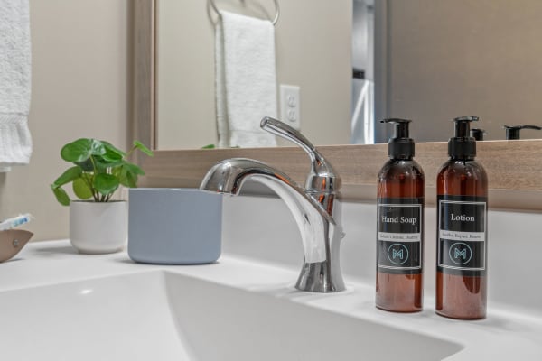 Contemporary bathroom sink with faucet, soap, lotion, and a plant.