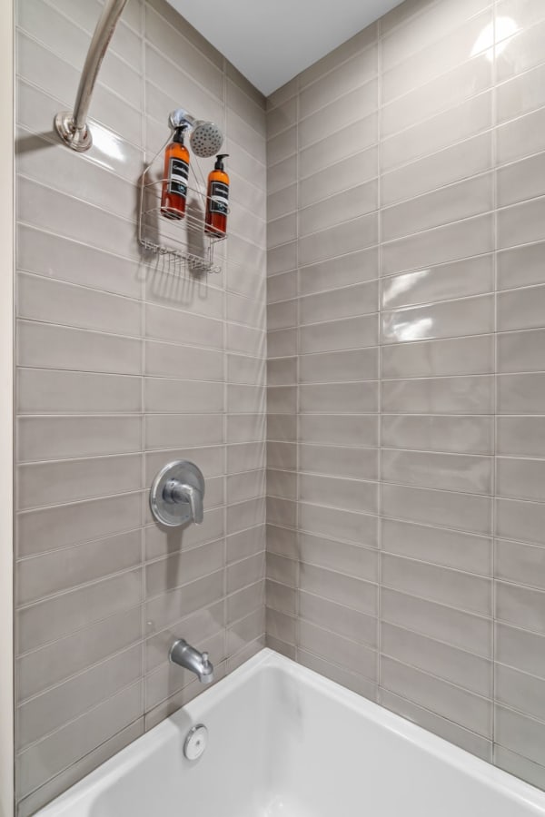 Contemporary shower stall with gray tiles and shampoo bottles.