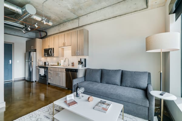 Contemporary apartment living space with a kitchen and gray sofa.