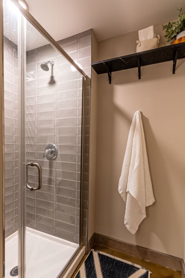 Modern shower area with glass enclosure and decorative shelf.