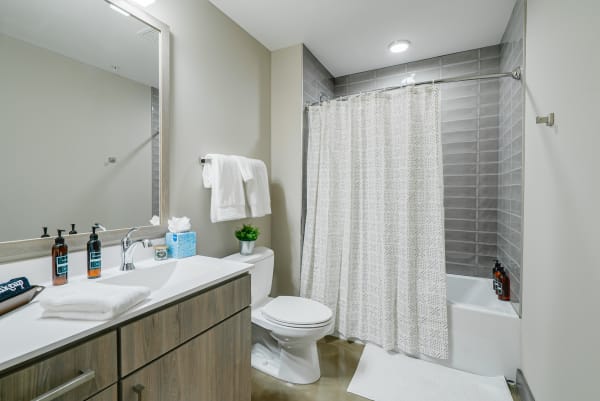 A contemporary bathroom with a sleek countertop, mirror, shower curtain, and decorative elements.