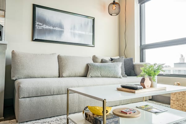 Cozy living room featuring a gray sofa, decorative pillows, and a white coffee table with plants and books.