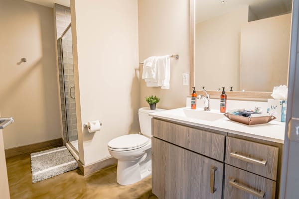 Contemporary bathroom showcasing a glass shower, toilet, and dual sink vanity with potted plant decor.