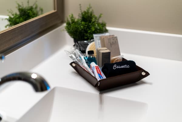 A brown leather tray filled with toiletries on a bathroom counter, alongside a small green plant.