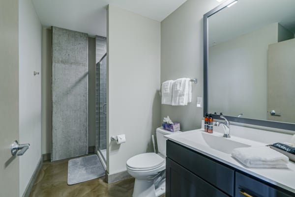 Interior view of a modern bathroom with a shower, vanity, and contemporary fixtures.