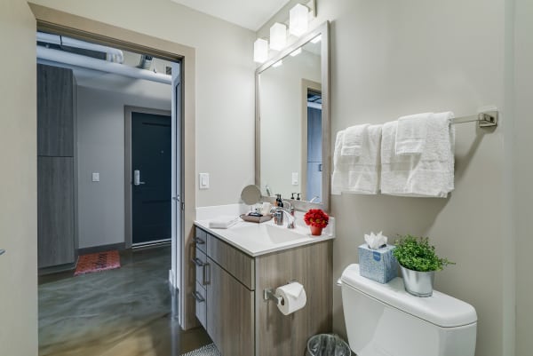 Modern bathroom with a vanity, mirror, and decorative elements.