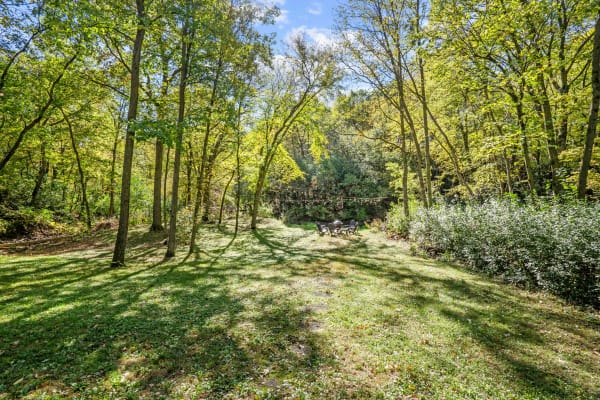 Forest scene featuring tall trees, a grassy area, and a seating arrangement with string lights.