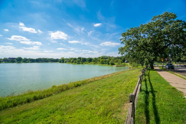 Lakeside view with grass, a wooden fence, and a blue sky.