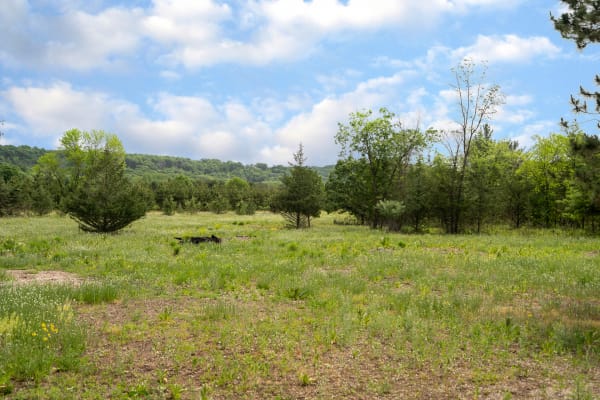 A green meadow filled with wildflowers and trees under a blue sky with clouds.