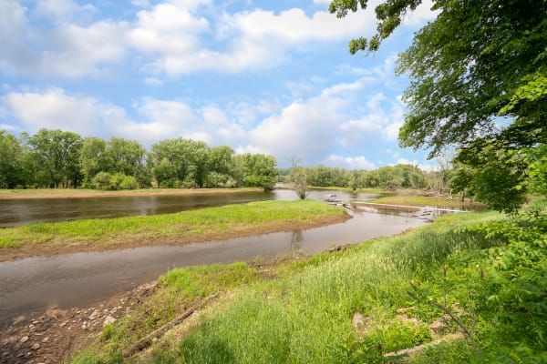 A tranquil river scene with green grass and trees under a blue sky with clouds.