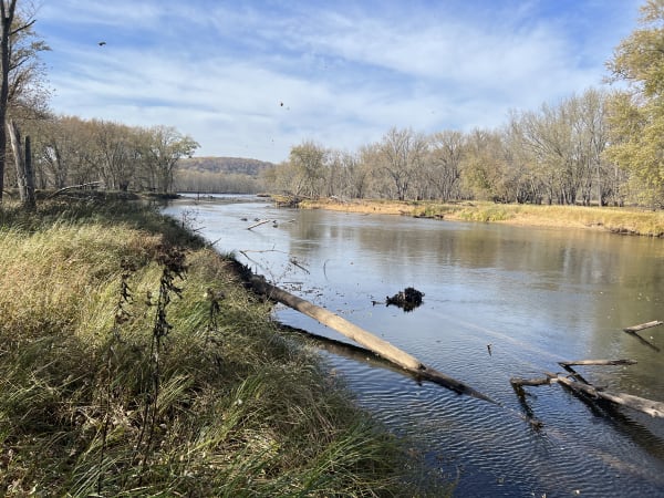 A peaceful river scene surrounded by trees and fallen logs.