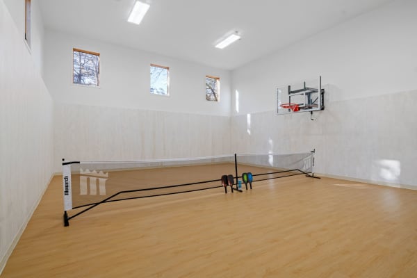 An indoor sports room with a basketball hoop, net, and colorful paddles.