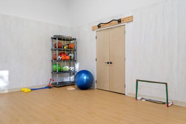 An indoor playroom with sports balls, an exercise ball, and fitness equipment.