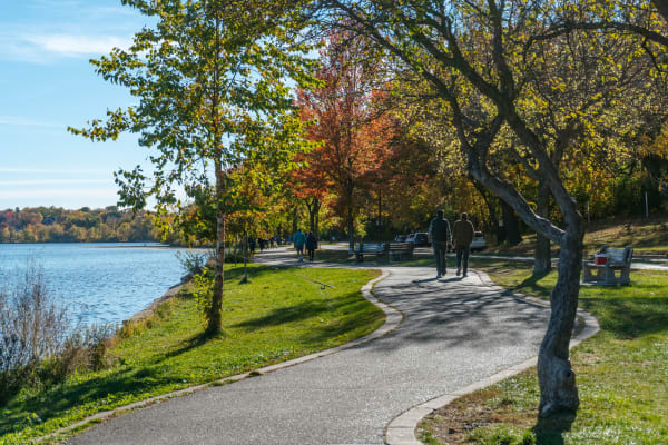 A park pathway lined with trees and people walking near a lake in autumn.