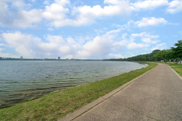 Lakeside pathway with a view of calm water and trees in the background.