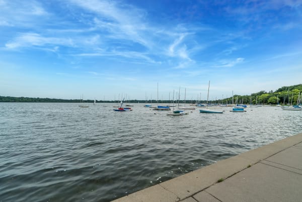 Sailboats on a calm lake with a clear blue sky and trees in the background.