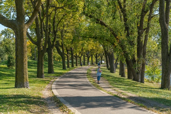 Curving pathway in a park lined with trees and people enjoying the day.