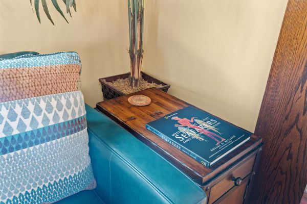 A blue leather couch featuring a patterned throw pillow, a wooden side table with a book and coaster, and a potted plant.