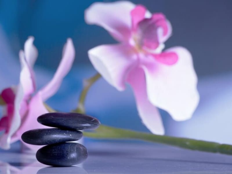 Balanced stones beside orchids