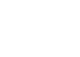 Turgon Ai